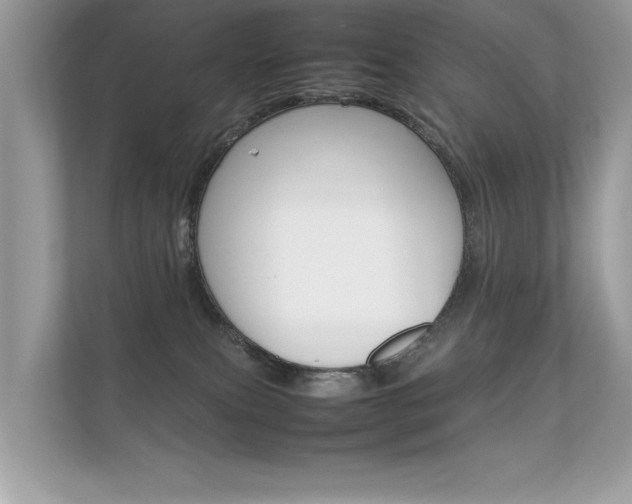 X0000112410087200908141034