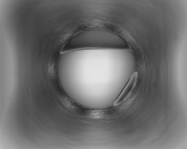 X0000112410088200908141034