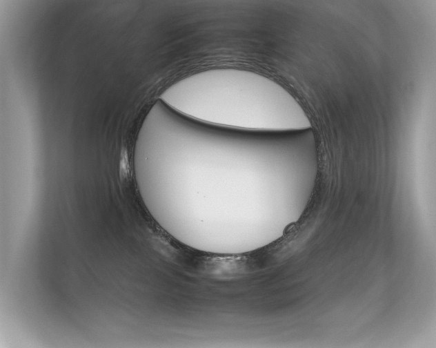 X0000112410089200908141034