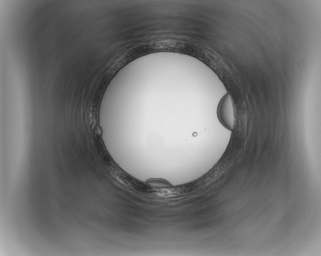 X0000112410091200908141034