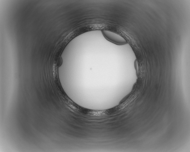 X0000112410093200908141034