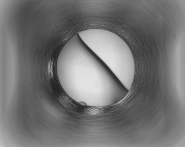 X0000112410094200908141034