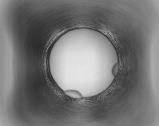 X0000112410098200908141033