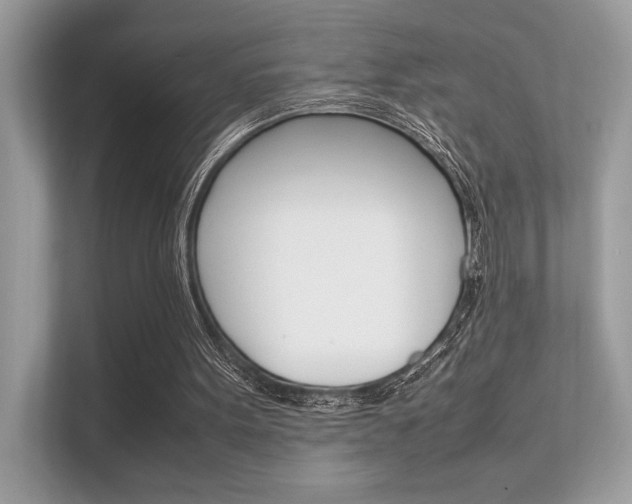 X0000112410099200908141033