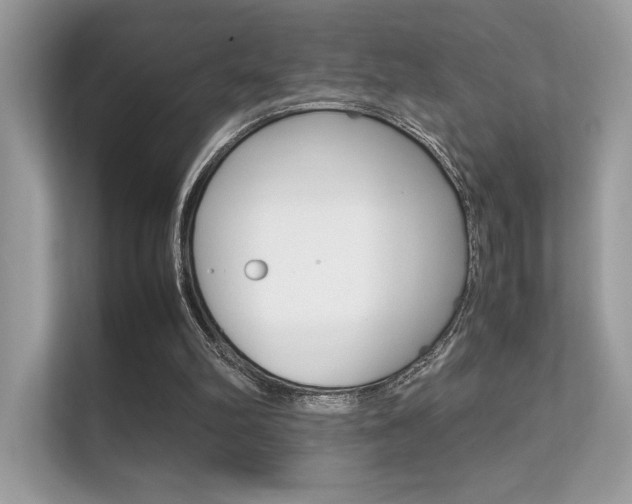 X0000112410102200908141033