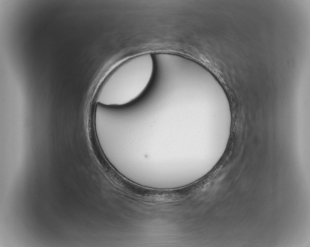 X0000112410103200908141033