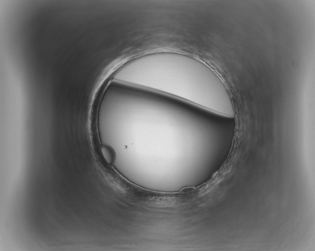 X0000112410104200908141033