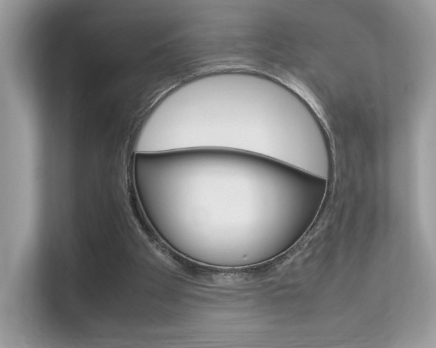 X0000112410105200908141033