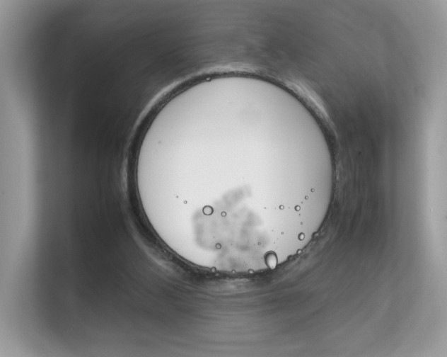 X0000112410108200908141033