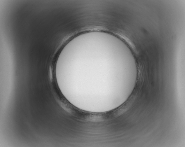 X0000112410110200908141033
