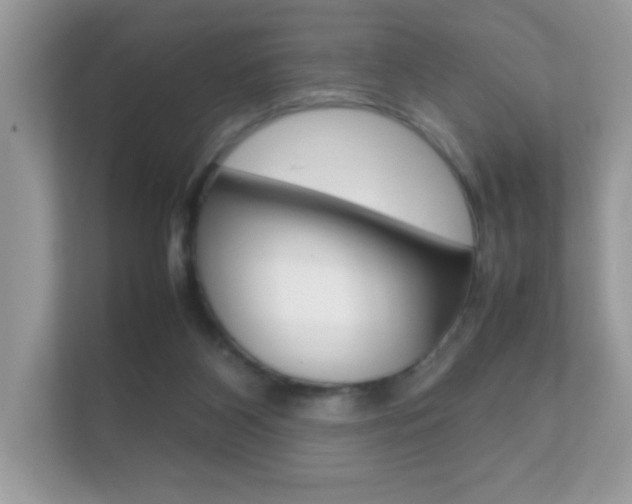X0000112410116200908141033