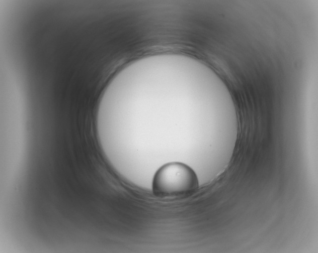 X0000112410120200908141033