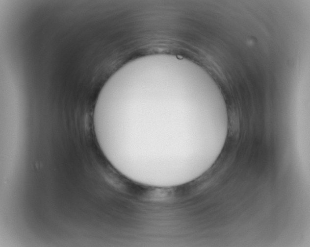 X0000112410126200908141033
