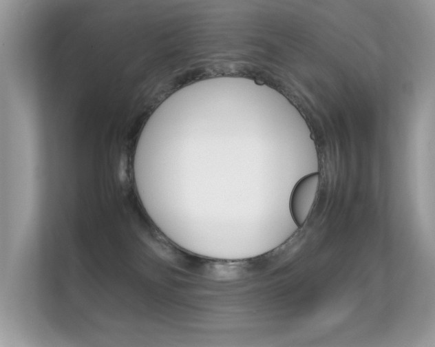 X0000112410134200908141033