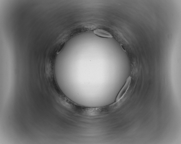X0000112410136200908141033