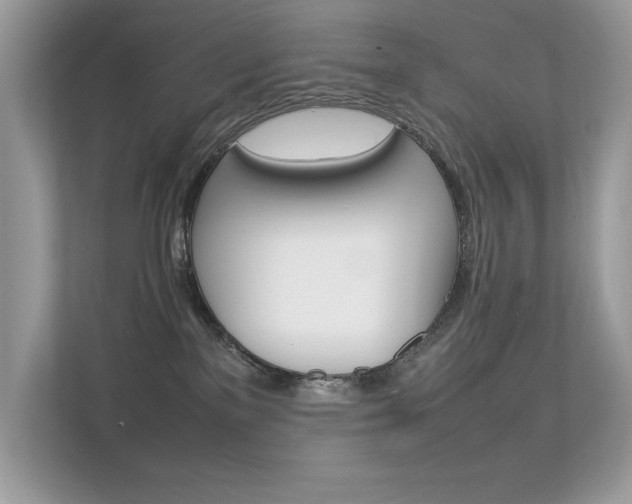X0000112410137200908141033