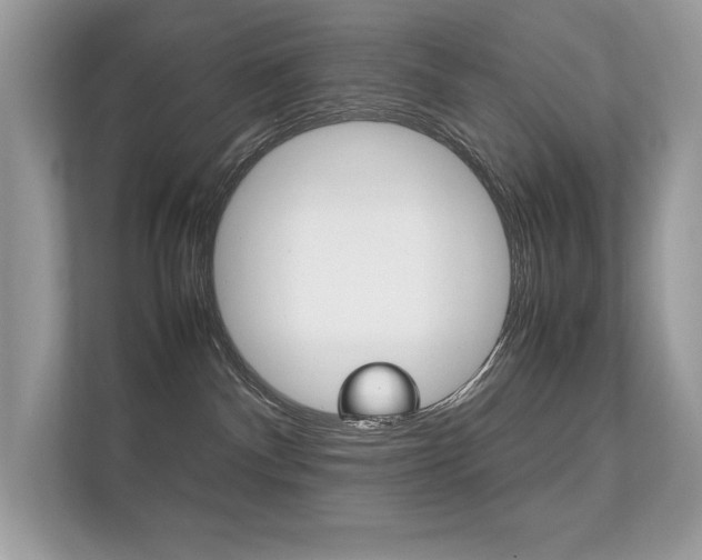 X0000112410140200908141033