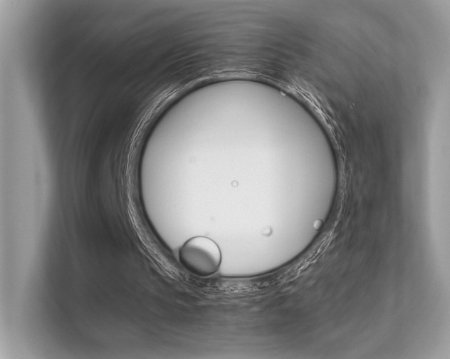 X0000112410145200908141032