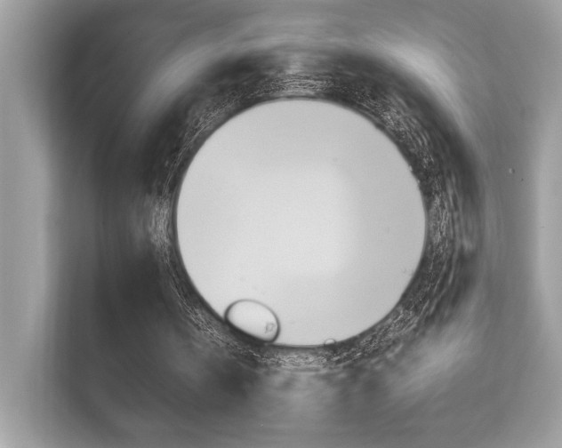 X0000112410146200908141032