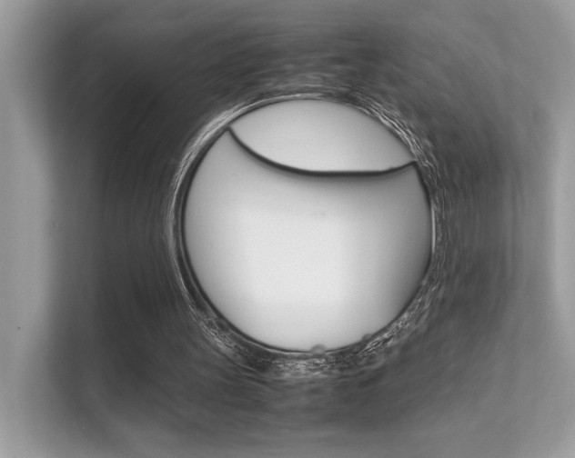X0000112410147200908141032