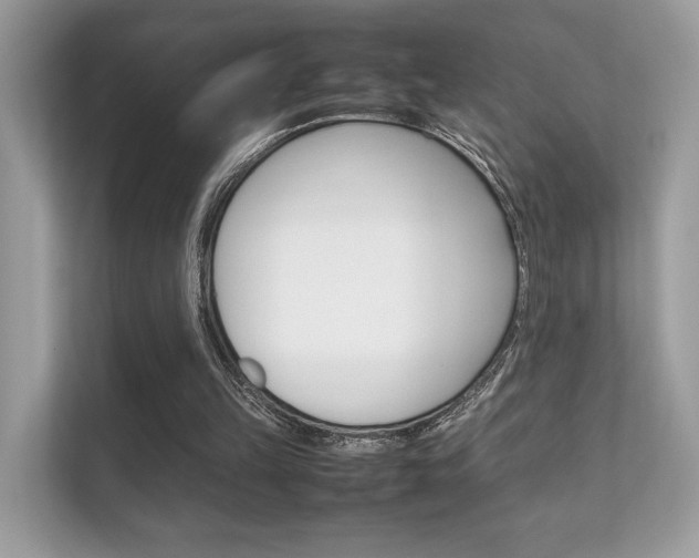 X0000112410149200908141032