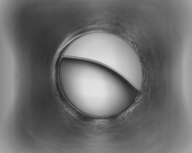 X0000112410150200908141032