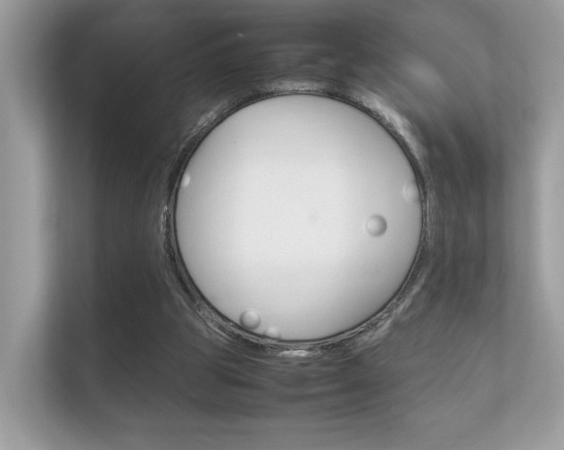 X0000112410153200908141032