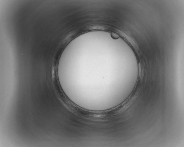 X0000112410157200908141032