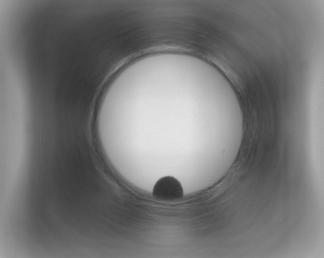 X0000112410160200908141032
