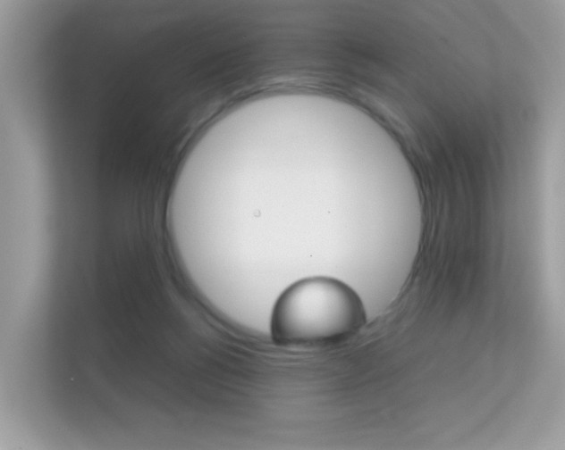 X0000112410168200908141032
