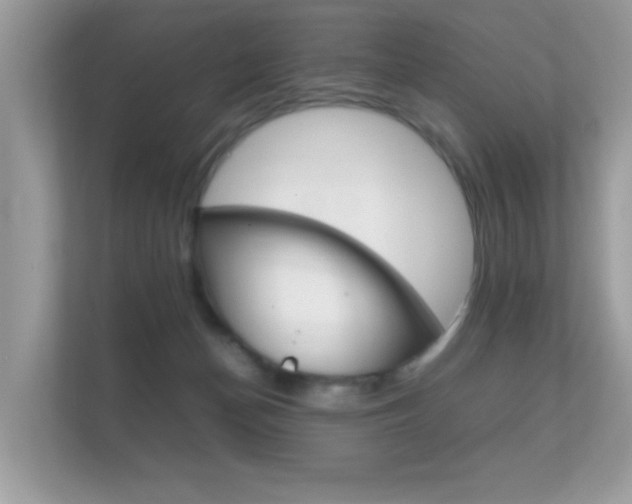 X0000112410174200908141033