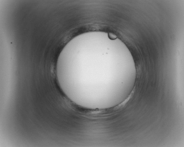 X0000112410178200908141033