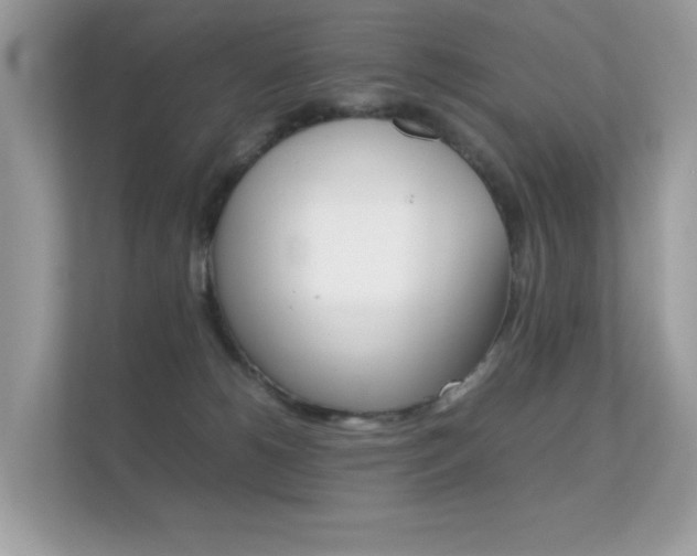 X0000112410180200908141033
