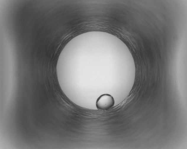 X0000112410188200908141033