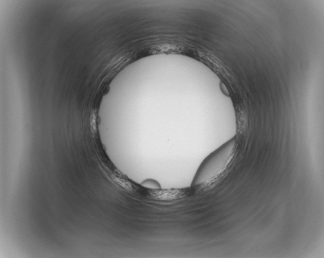 X0000112410191200908141033
