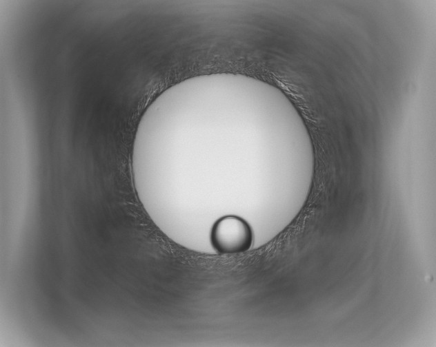 X0000112410192200908141033