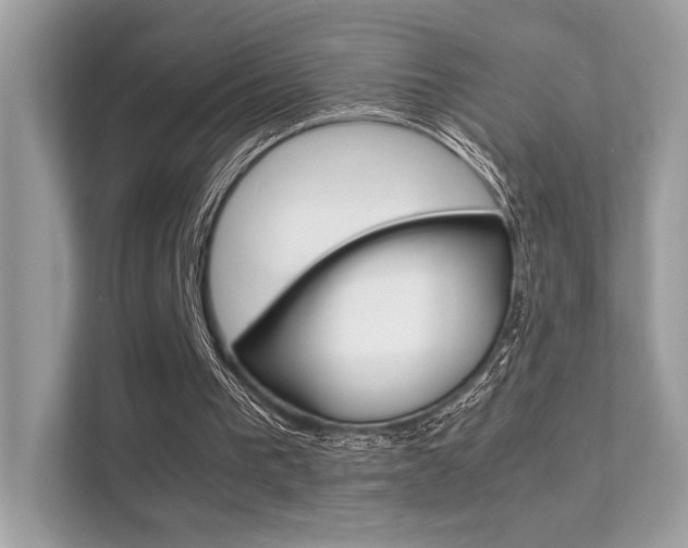 X0000112410193200908141032