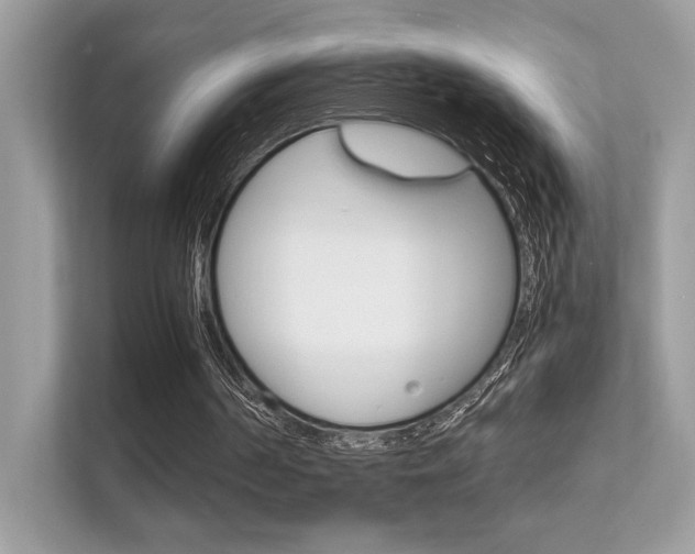 X0000112410194200908141032