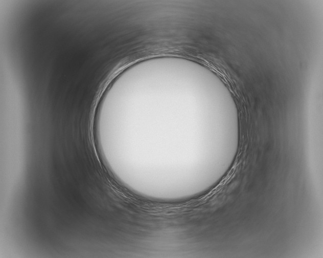 X0000112410195200908141032