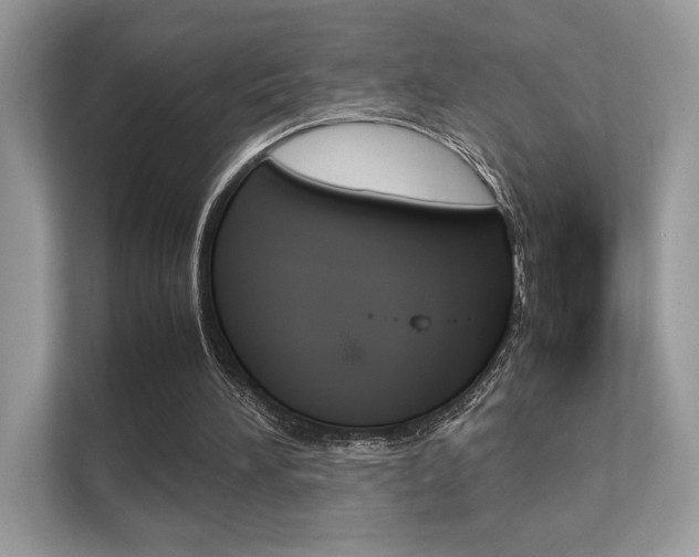 X0000112410196200908141032