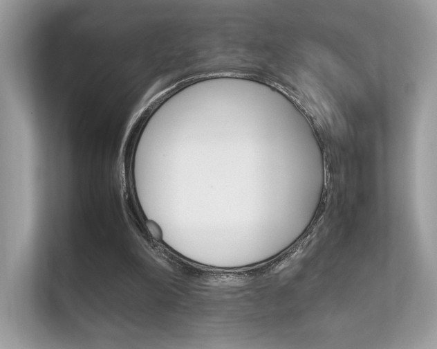 X0000112410198200908141032