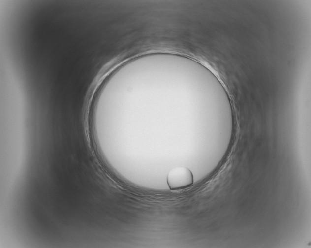 X0000112410199200908141032