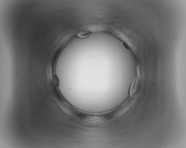 X0000112410205200908141032
