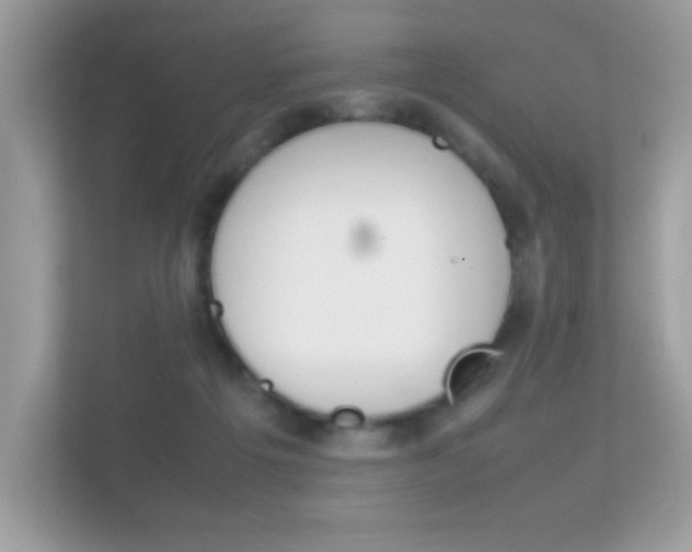 X0000112410217200908141032