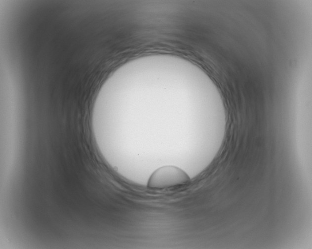 X0000112410223200908141032