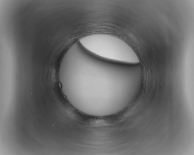 X0000112410224200908141032