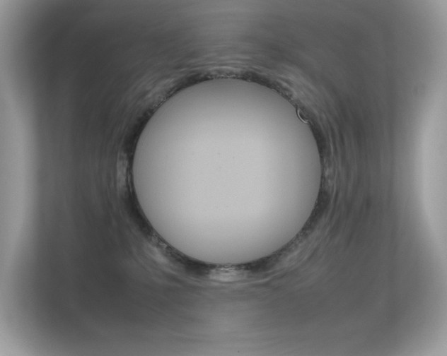 X0000112410231200908141032