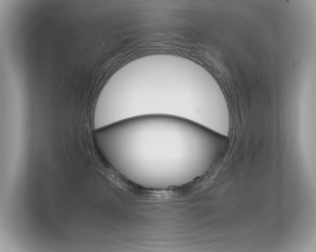 X0000112410233200908141032