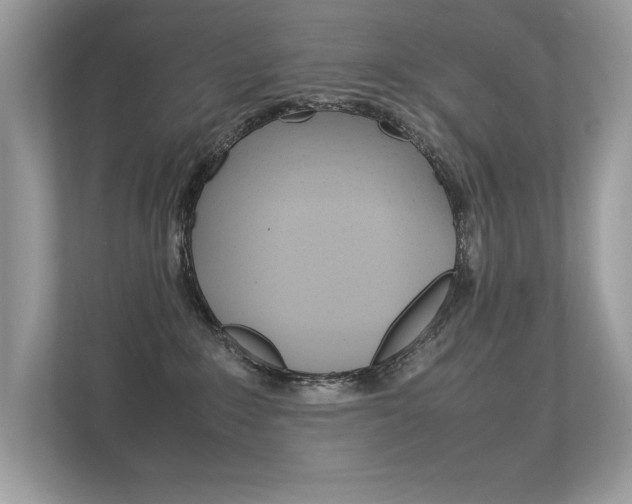 X0000112410235200908141032