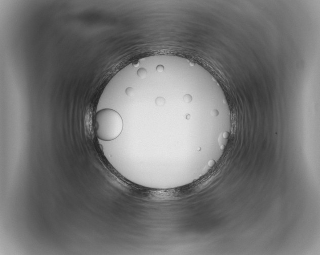 X0000112410238200908141032